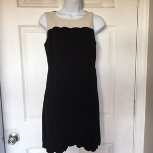 Loft black and beige scallop dress